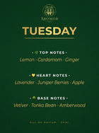 Tuesday - Inspired by Azzaro Wanted Eau de Parfum 50ml bottle - lifestyle shot | Aromor Perfume